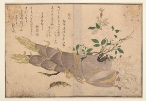 Oorworm en molkrekel, 1788 door Kitagawa Utamaro
